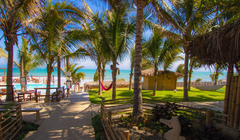 Hotel Playa Palmeras Los Órganos エクステリア 写真