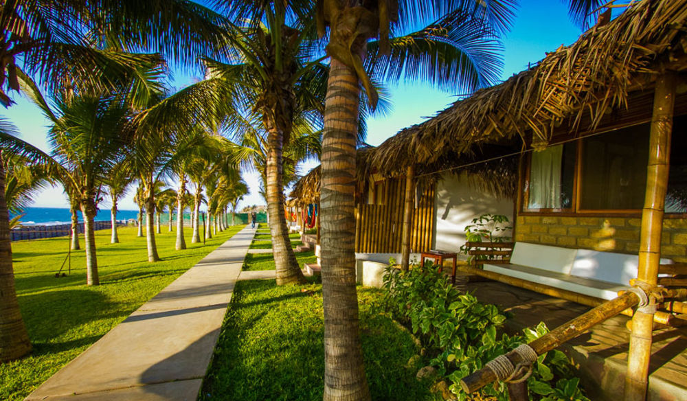 Hotel Playa Palmeras Los Órganos エクステリア 写真